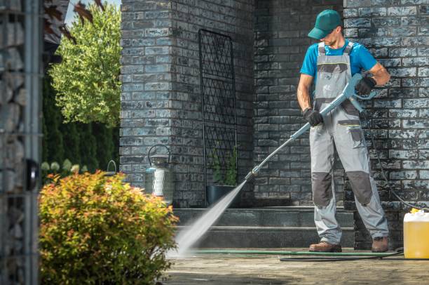 Best Solar Panel Cleaning  in Naples, UT